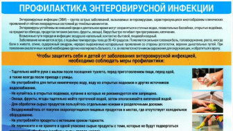 Профилактика ЭВИ.